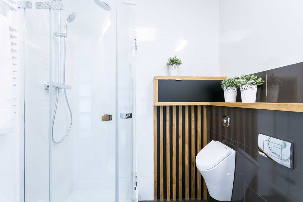 Modern glass shower enclosure in a remodeled bathroom