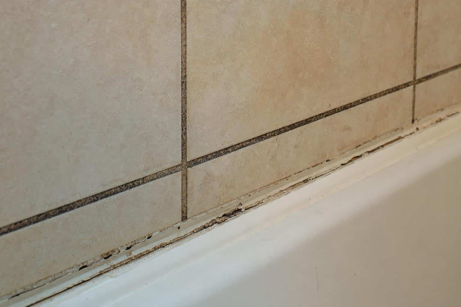 signs water damage behind shower walls detail
